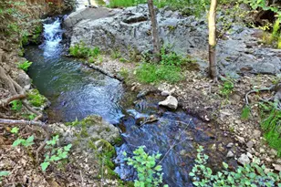 15729 Little Valley Rd, Grass Valley, CA 95949 - Photo 37