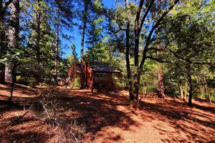 15729 Little Valley Rd, Grass Valley, CA 95949 - Photo 53