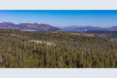 118 Silver Tip Road, Tamarack, CA 95223 - Photo 43