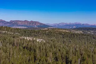 118 Silver Tip Rd, Tamarack, CA 95223 - Photo 43