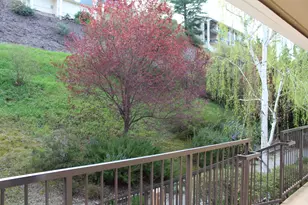 1405 Ptarmigan Dr, Walnut Creek, CA 94595 - Photo 3