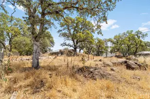 4626 Pat Ln, Loma Rica, CA 95901 - Photo 69