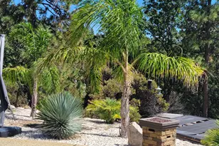 580 Gayl Dr, Colfax, CA 95713 - Photo 65