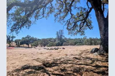 1021 Aaron Cool Drive, Cool, CA 95614 - Photo 3