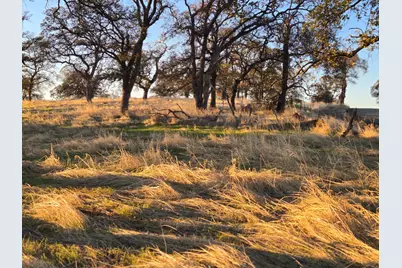 0 Avacado Road, Bangor, CA 95914 - Photo 3