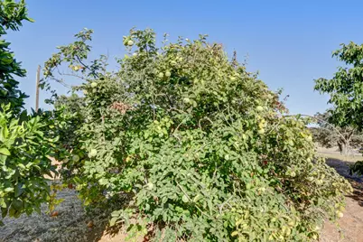 7542 Ospital Road, Valley Springs, CA 95252 - Photo 61