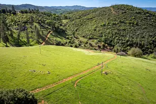 12778 Hwy 26, Mokelumne Hill, CA 95245 - Photo 7