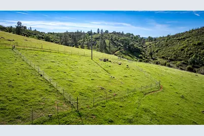 12778 Highway 26, Mokelumne Hill, CA 95245 - Photo 5