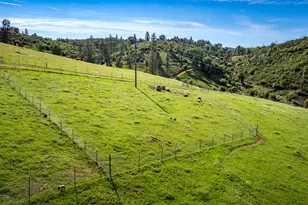 12778 Hwy 26, Mokelumne Hill, CA 95245 - Photo 5