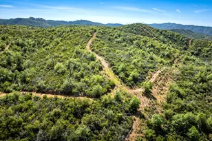 12778 Hwy 26, Mokelumne Hill, CA 95245 - Photo 21
