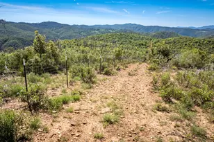 12778 Hwy 26, Mokelumne Hill, CA 95245 - Photo 25