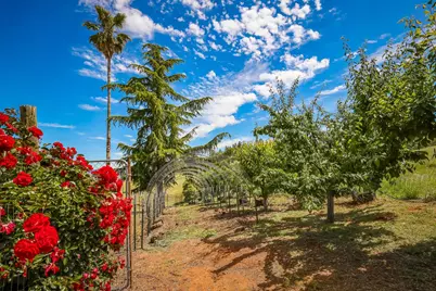12778 Highway 26, Mokelumne Hill, CA 95245 - Photo 69