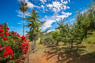 12778 Hwy 26, Mokelumne Hill, CA 95245 - Photo 69
