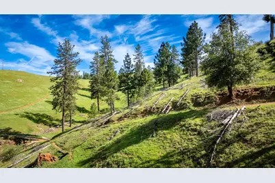 12778 Highway 26, Mokelumne Hill, CA 95245 - Photo 13