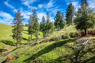 12778 Hwy 26, Mokelumne Hill, CA 95245 - Photo 13