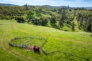 12778 Hwy 26, Mokelumne Hill, CA 95245 - Photo 9