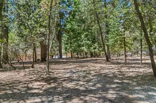 5695 Juarez Rd, Pollock Pines, CA 95726 - Photo 61