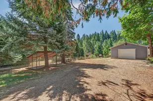 9882 La Porte Rd, Challenge, CA 95925 - Photo 35