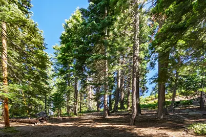 8974 Woodland Drive, Tahoma, CA 96142 - Photo 11