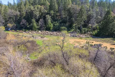 1836 Canyon Way, Colfax, CA 95713 - Photo 23