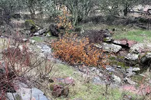 14158 Neptune Ln, Browns Valley, CA 95918 - Photo 75