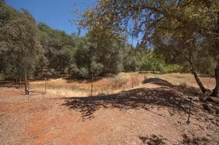 14158 Neptune Ln, Browns Valley, CA 95918 - Photo 87