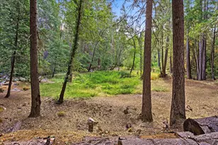 10535 Silva Ave, Nevada City, CA 95959 - Photo 73