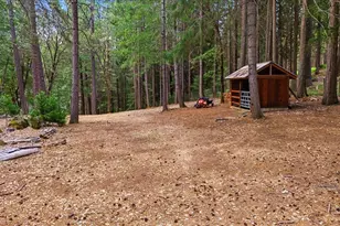 10535 Silva Ave, Nevada City, CA 95959 - Photo 69