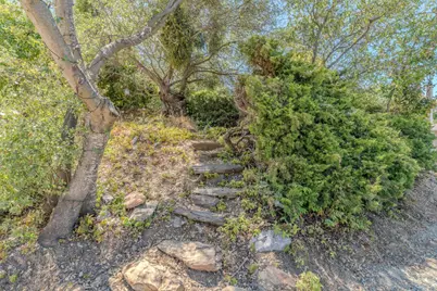 441 Gold Court, San Andreas, CA 95249 - Photo 55