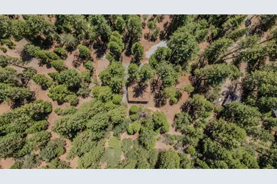 19720 Bear Court, Volcano, CA 95689 - Photo 45