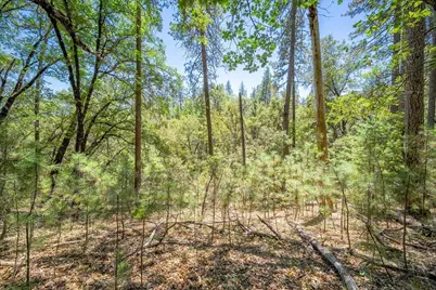 0 Parcel #A Sherwood Way, Meadow Vista, CA 95722 - Photo 17