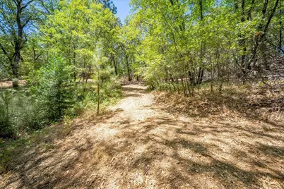 0 Parcel #A Sherwood Way, Meadow Vista, CA 95722 - Photo 3