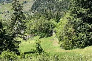 41345 State Hwy 36, Bridgeville, CA 95526 - Photo 1