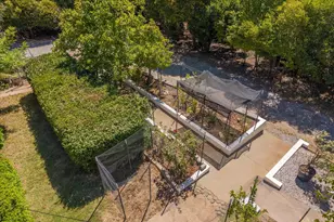 1253 Fairview, Angels Camp, CA 95222 - Photo 47