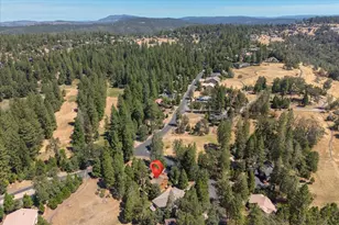 1554 Vine Maple, Murphys, CA 95247 - Photo 49