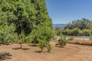14206 Williams Rd, Pioneer, CA 95666 - Photo 67