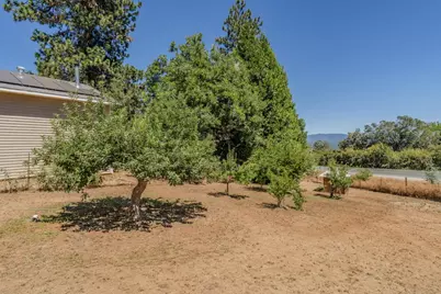 14206 Williams Road, Pioneer, CA 95666 - Photo 67