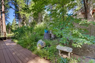 15836 Mountain View Dr, Nevada City, CA 95959 - Photo 49