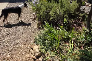 Calaveritas Rd, San Andreas, CA 95249 - Photo 15