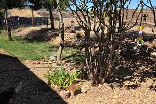 Calaveritas Rd, San Andreas, CA 95249 - Photo 13