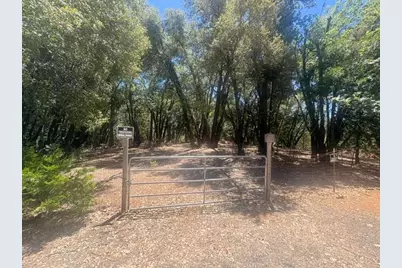 23389 Middle Camp Road, Twain Harte, CA 95383 - Photo 1