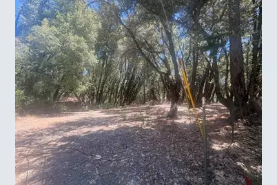 0 Middle Camp, Twain Harte, CA 95383 - Photo 5