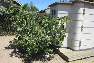61 E Ellis St, Stockton, CA 95204 - Photo 27