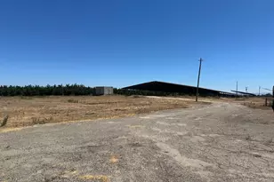 15942 N Jack Tone Rd, Lodi, CA 95240 - Photo 13