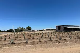 15942 N Jack Tone Rd, Lodi, CA 95240 - Photo 5