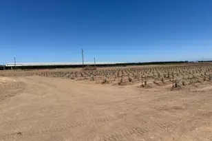 15942 N Jack Tone Rd, Lodi, CA 95240 - Photo 47