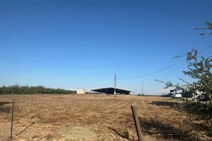 15942 N Jack Tone Rd, Lodi, CA 95240 - Photo 1