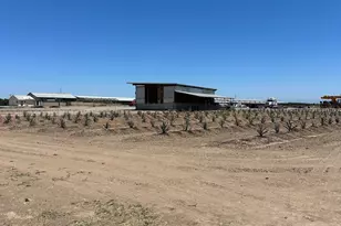 15942 N Jack Tone Rd, Lodi, CA 95240 - Photo 21