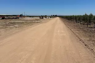 15942 N Jack Tone Rd, Lodi, CA 95240 - Photo 7