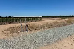 15942 N Jack Tone Rd, Lodi, CA 95240 - Photo 13